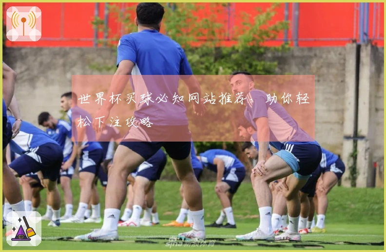 世界杯买球必知网站推荐，助你轻松下注攻略