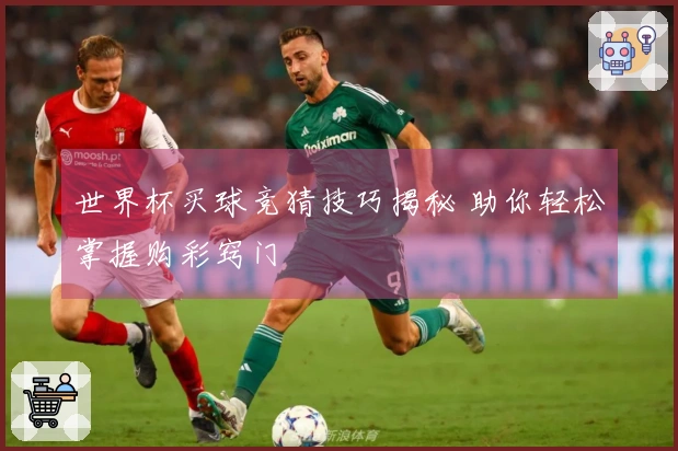 世界杯买球竞猜技巧揭秘 助你轻松掌握购彩窍门
