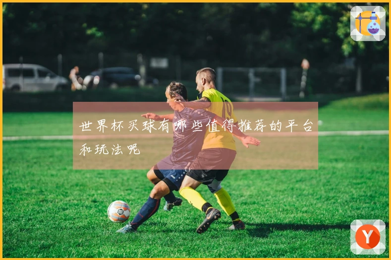 世界杯买球有哪些值得推荐的平台和玩法呢