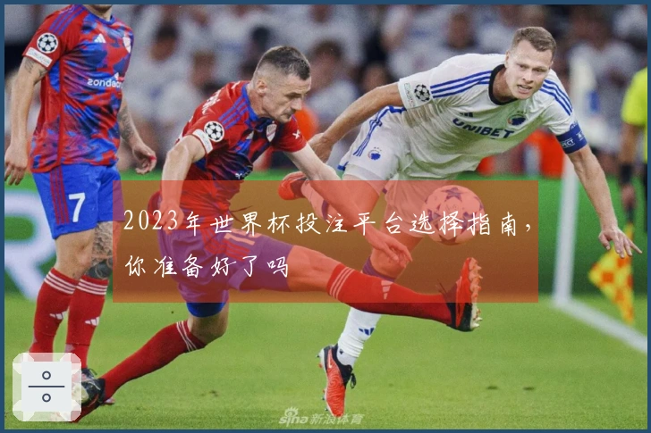 2023年世界杯投注平台选择指南，你准备好了吗