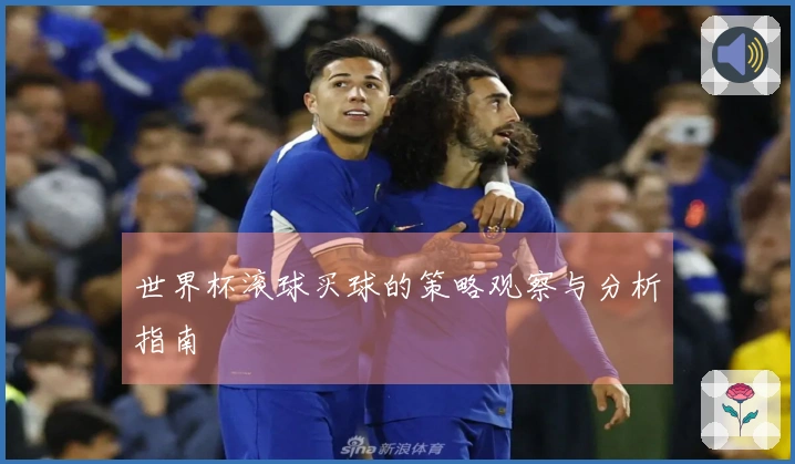 世界杯滚球买球的策略观察与分析指南
