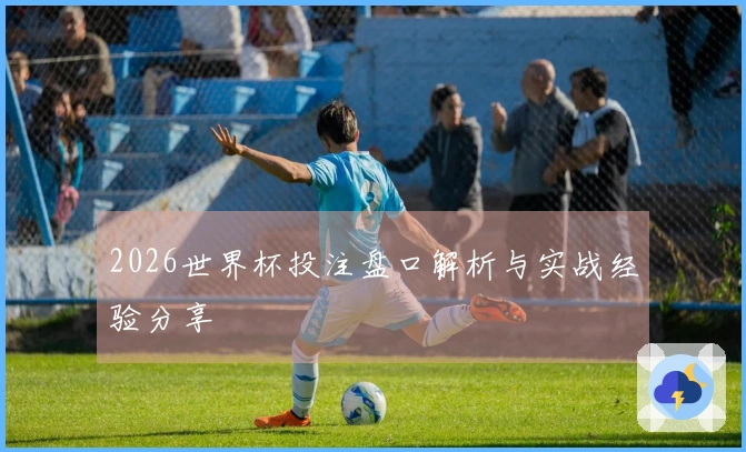 2026世界杯投注盘口解析与实战经验分享