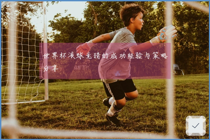 世界杯滚球竞猜的成功经验与策略分享