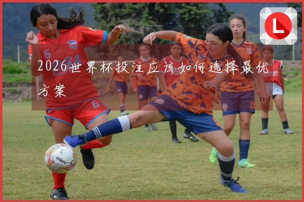 2026世界杯投注应该如何选择最优方案