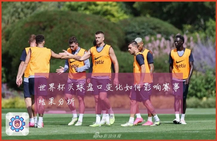 世界杯买球盘口变化如何影响赛事结果分析