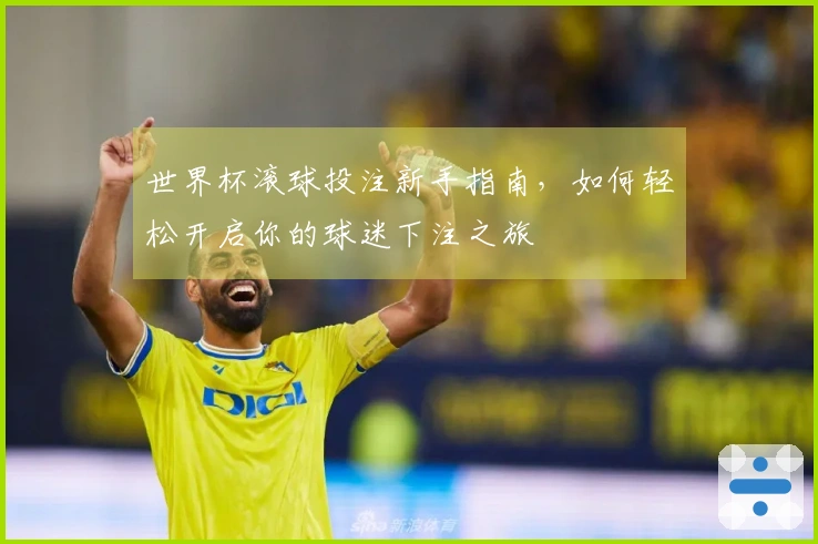 世界杯滚球投注新手指南，如何轻松开启你的球迷下注之旅