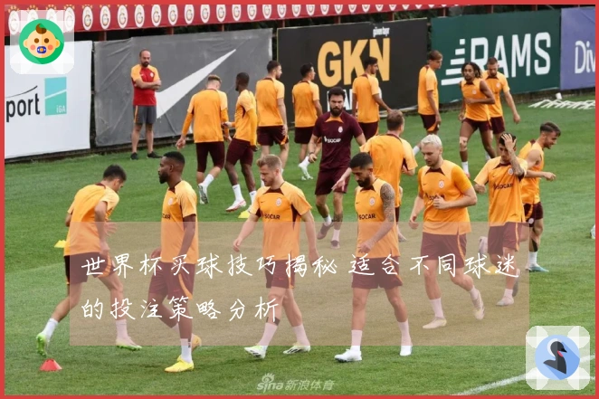 世界杯买球技巧揭秘 适合不同球迷的投注策略分析