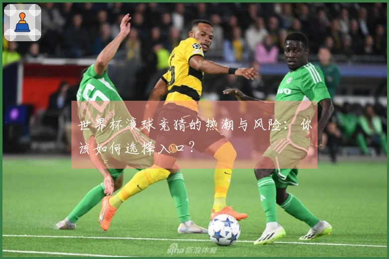 世界杯滚球竞猜的热潮与风险：你该如何选择入口？