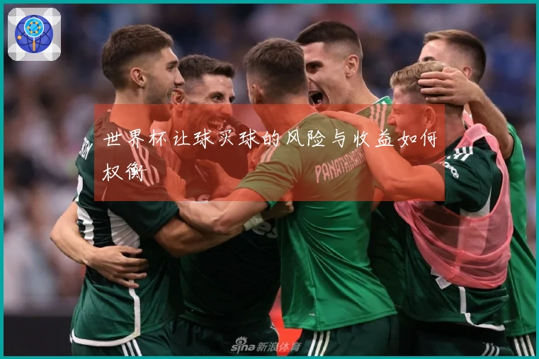 世界杯让球买球的风险与收益如何权衡