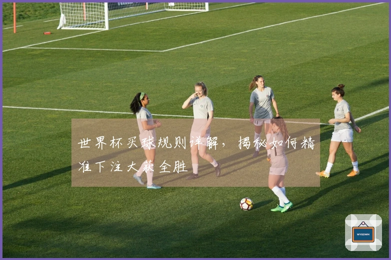 世界杯买球规则详解，揭秘如何精准下注大获全胜