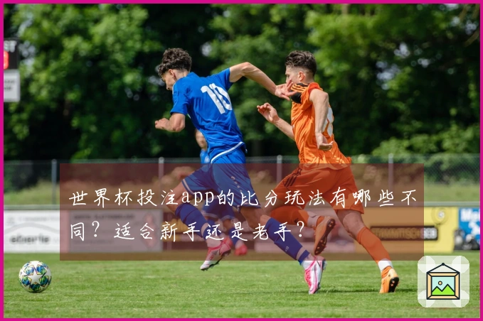 世界杯投注app的比分玩法有哪些不同？适合新手还是老手？