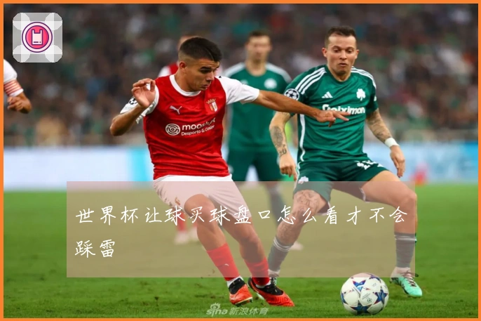 世界杯让球买球盘口怎么看才不会踩雷