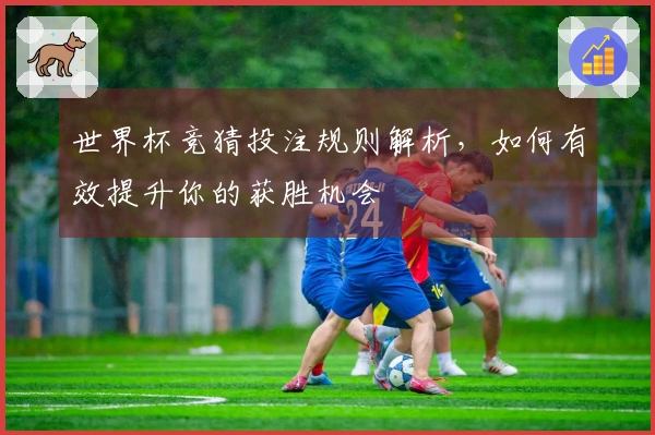 世界杯竞猜投注规则解析，如何有效提升你的获胜机会