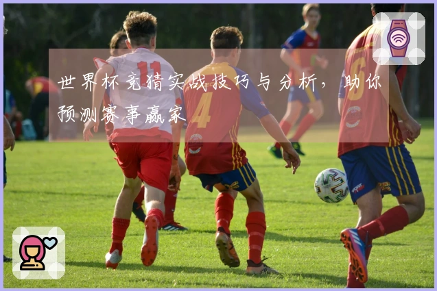 世界杯竞猜实战技巧与分析，助你预测赛事赢家
