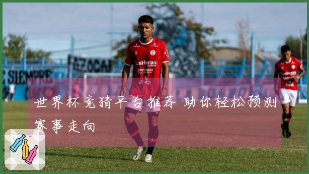 世界杯竞猜平台推荐 助你轻松预测赛事走向
