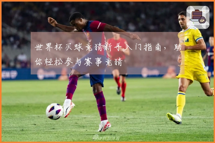世界杯买球竞猜新手入门指南，助你轻松参与赛事竞猜