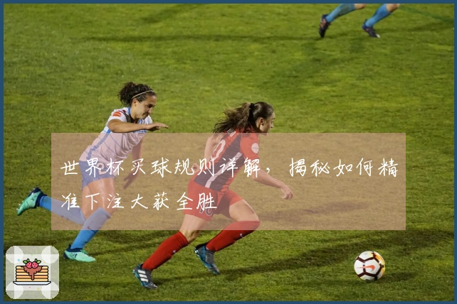 世界杯买球规则详解，揭秘如何精准下注大获全胜