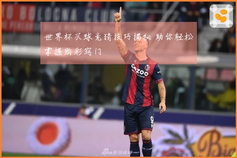 世界杯买球竞猜技巧揭秘 助你轻松掌握购彩窍门