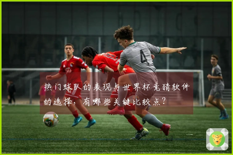 热门球队的表现与世界杯竞猜软件的选择，有哪些关键比较点？
