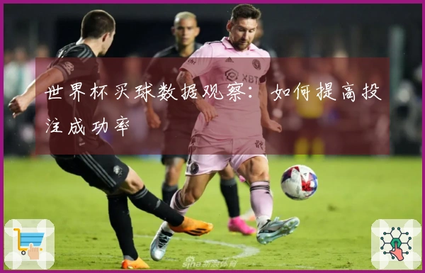 世界杯买球数据观察：如何提高投注成功率